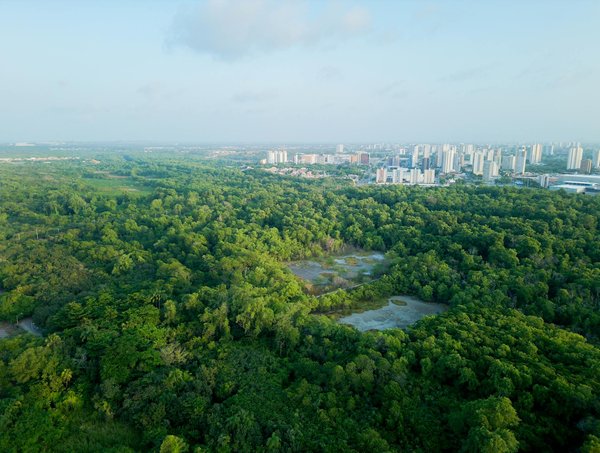 Conseils d'achat pour une borne selfie : guide pratique et astucieux